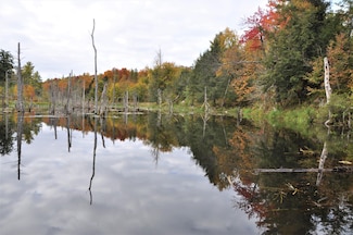 0 Beaver Pond Dr, Edwards, NY 13635