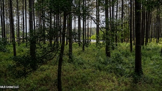 0000 Pleasant Ridge Rd, Hickory, MS 39332