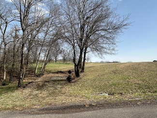 32036 Falcon Dr, Unionville, MO 63565