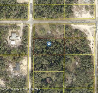 LOT 15 Alloy St, Webster, FL 33597