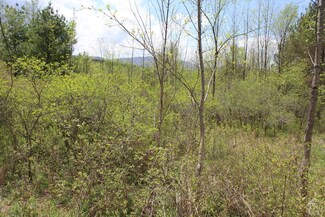0 State Route 145 Unit 152676, Durham, NY 12423