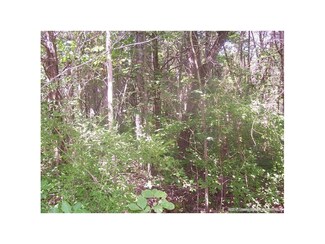 0 Turkey Fork Rd Unit 201506882, Leavenworth, IN 47137
