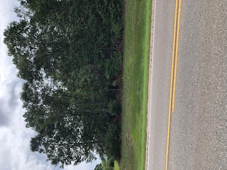 16031 Montgomery Hwy, Highland Home, AL 36041