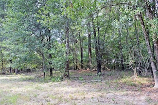 TBD Tract 3 Deer Ridge Rd, Bedias, TX 77831