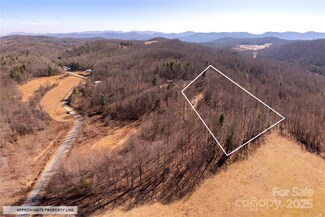 000 Pinnacle Mountain Rd, Zirconia, NC 28790