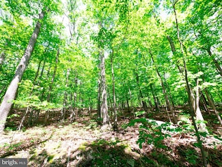 LOTS 8 & 9 Elk Trail, Winchester, VA 22602