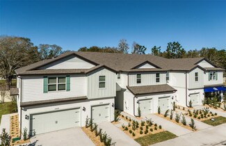 13120 Stillmont Place, Greater Northdale, FL 33624