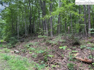 TBD Red Clover Rd, Beech Mountain, NC 28622