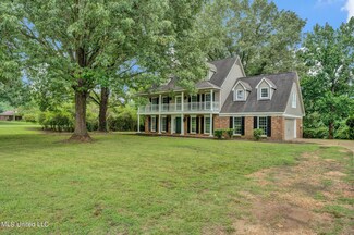 8195 Hunters Hill Cove, Olive Branch, MS 38654