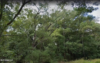 0 Dye Ave, Moss Point, MS 39563