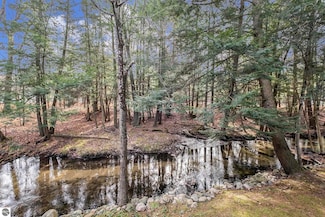 5489 S Kings Hwy, Chase, MI 49623