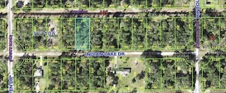 516 Indian Lake Dr, Lake Wales, FL 33855