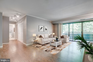6141 Leesburg Pike Unit 507, Falls Church, VA 22041
