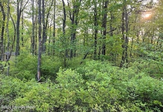 A566 Orange Ln, Jim Thorpe, PA 18229