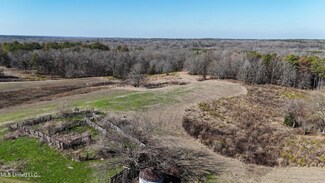 0 Joe Ellis Rd, Vaiden, MS 39176