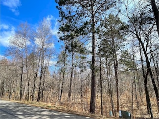 TBD Wooddale Rd, Nisswa, MN 56468