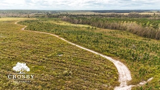 0 Sweetwater Ln, Glenwood, GA 30428