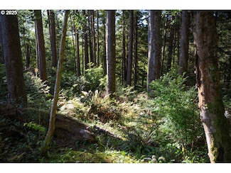 0 Eagle St SW, Ilwaco, WA 98624