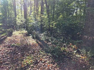 5.71AC New Upton Farms Ln, Gloucester, VA 23061