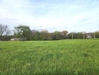 Lot 910 Lake Wildwood Dr, Varna, IL 61375