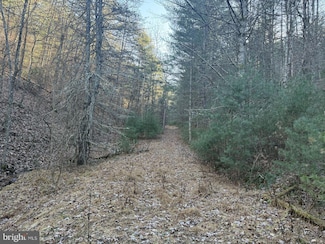 0 Buck Hill Ln, Sugar Grove, WV 26815