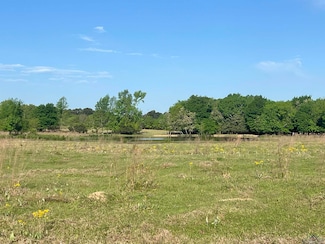 TBD Fm 1402, Mount Pleasant, TX 75455