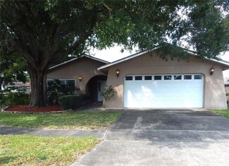 4711 Singing Stream Way, Tampa, FL 33624