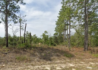 1820 W Pendleton St, Pine Ridge, FL 34434