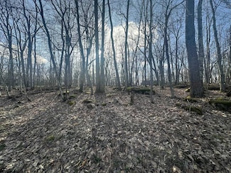 Lot 15 Betony Ln, Terra Alta, WV 26764