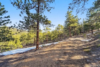 854 Crescent Lake Rd Unit 29, Golden, CO 80403