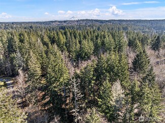 17520 103rd Street Ct, Gig Harbor, WA 98332