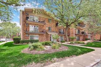 14000 Waterbury Dr Unit 1002, Crestwood, IL 60418