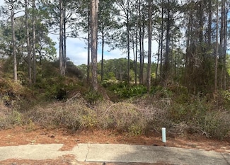 130 Spoonbill Ct, Carrabelle, FL 32322