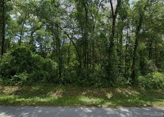 LOTS 89 90 91 & 92 N Rooks Ave, Inverness Highlands North, FL 34453