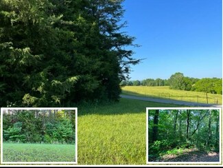 40.43 AC Allen Sells Ln, Alpine, TN 38543