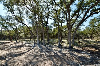 208 Knockout Rose Dr, San Marcos, TX 78666