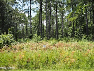 120 Cedarwood, Havelock, NC 28532