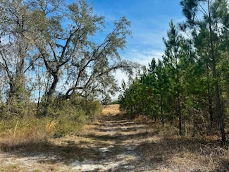 0 Vacant Ne Duval Pond Rd, Madison, FL 32340