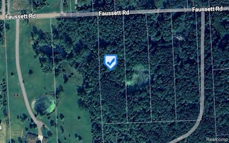 00 Faussett Rd, Tyrone Township, MI 48430