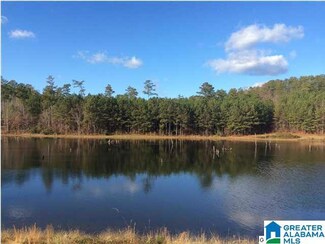 48 Bells Ln Unit 48, Vincent, AL 35178
