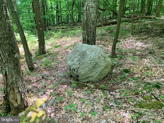 0 Wilderness Dr Unit WVGT103490, Cabins, WV 26855