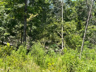 000 Foxfield Rd, Mammoth Spring, AR 72554