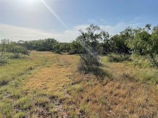 Tract 3 (32 Ac) Fm 600, Abilene, TX 79601