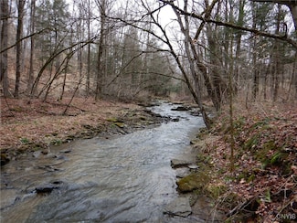0 County Road 16 Unit S1605354, Birdsall, NY 14822