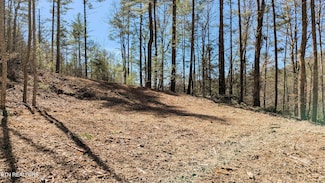 0 Carrs Creek 14 Acres Rd, Townsend, TN 37882