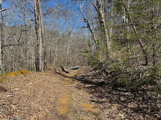 0 Melvin Hollow Rd Unit LotWP003 23933595, Pioneer, TN 37847