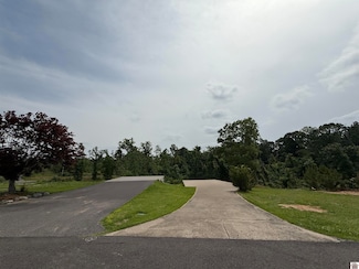 35 Wallace Cemetery Ln, Gilbertsville, KY 42044