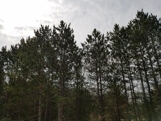 0 White Rd, Rothbury, MI 49452