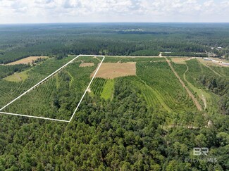 0 Horseneck Rd Unit Lot 5 366692, Bay Minette, AL 36507