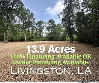 13.9 Acres Taylor Rd, Livingston, LA 70754